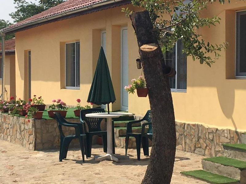 Guest House Viola Ezerets Extérieur photo